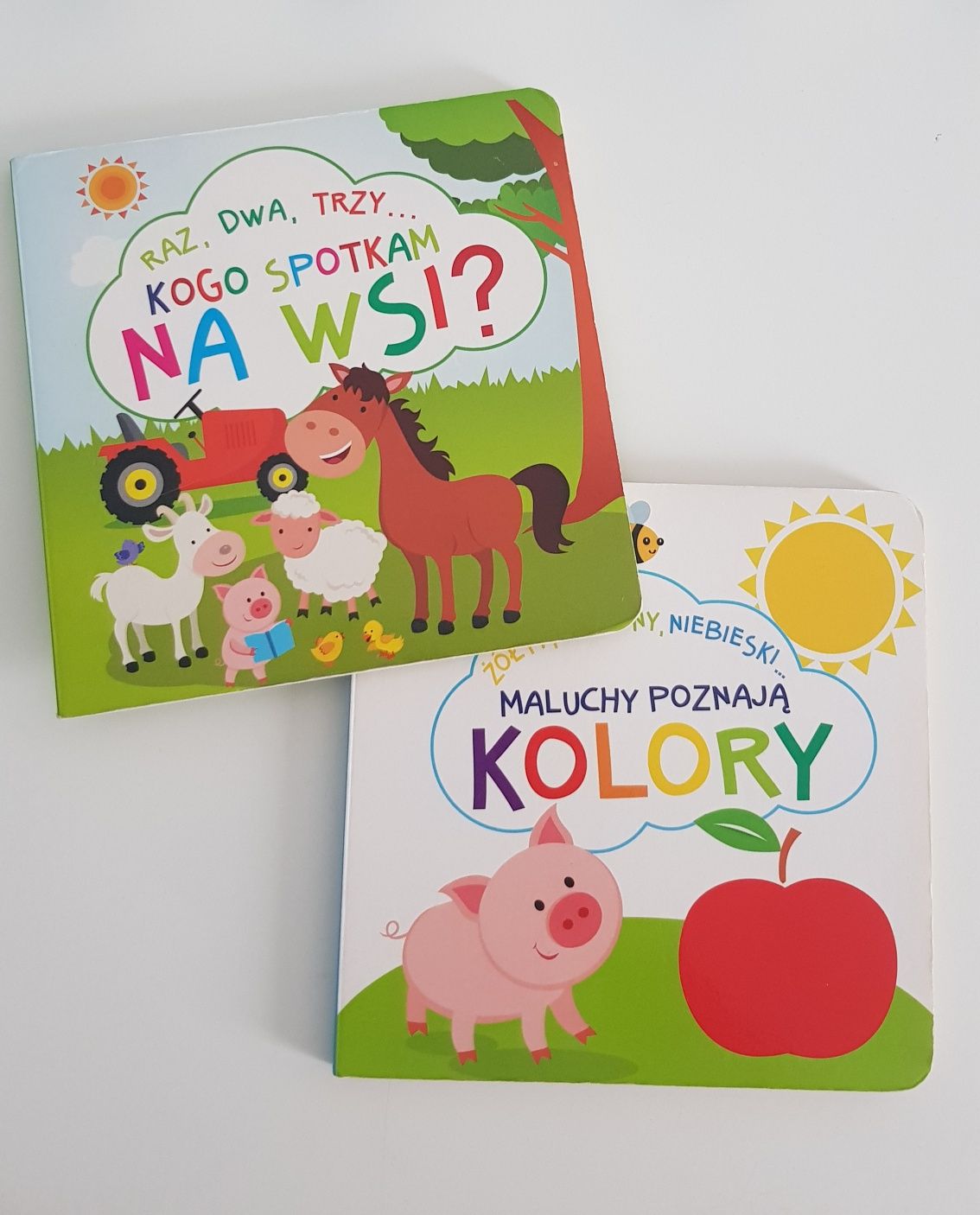 Książeczki - kolory, zwierzęta na wsi w zoo