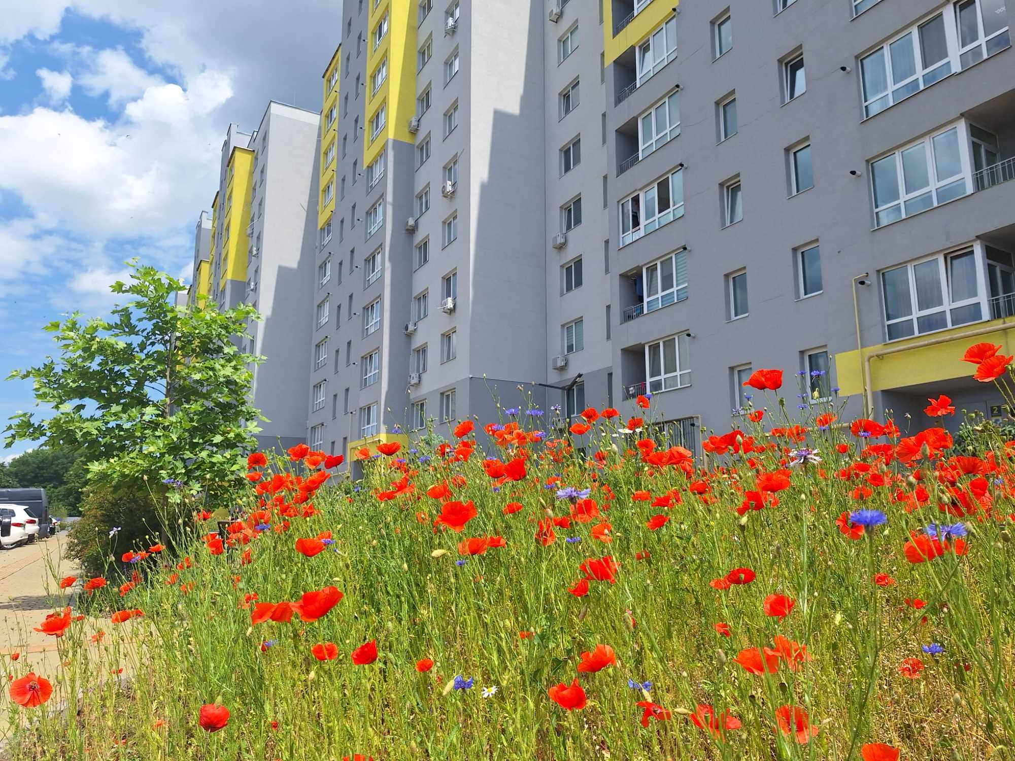 ‼️Продаж 1️⃣- кім. квартири бл.Замостя по СУПЕРЦІНІ‼️