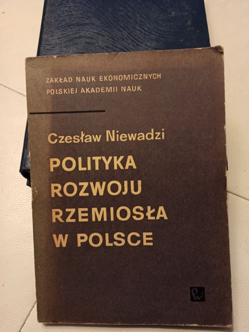 Niewadzi polityka rozwoju rzemiosła w Polsce