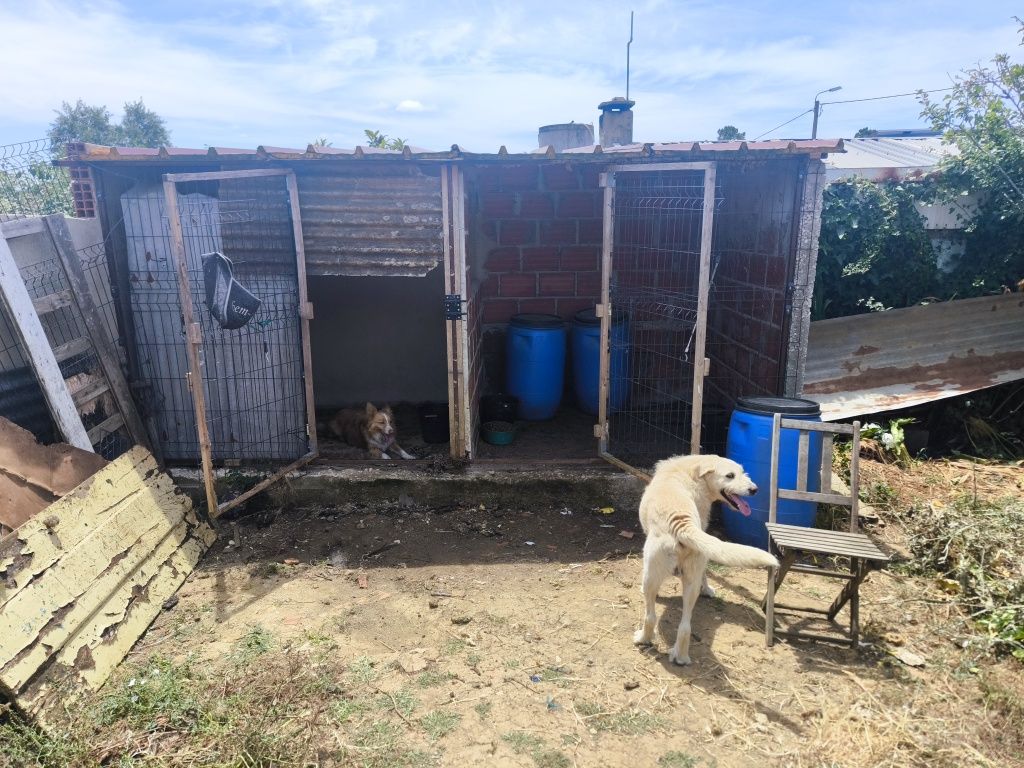 Terreno 350m2 Rustico Clube de belas, vale de lobos