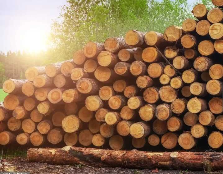 Дрова дуб, ясень, акация, быстрая доставка без предоплаты