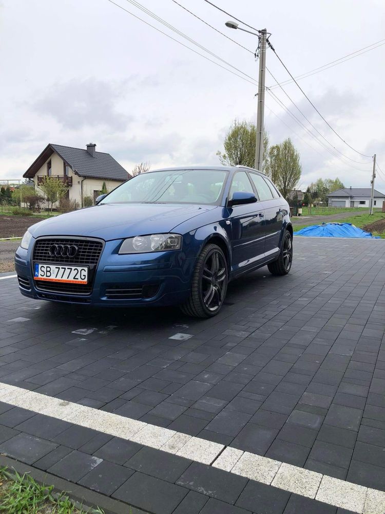 Audi A3 8P 1.9 TDI