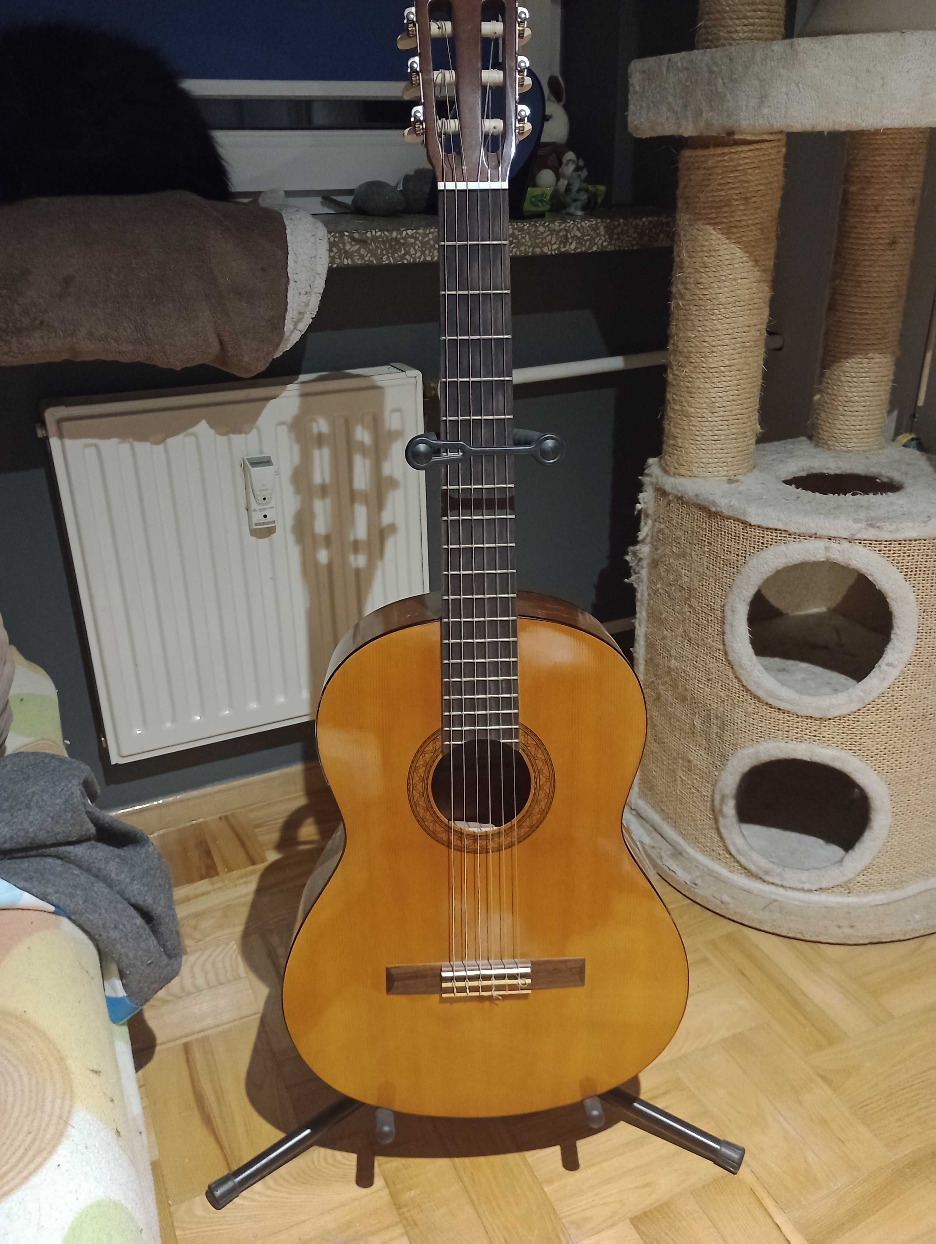 Gitara Yamaha c40