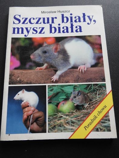 Szczur biały, mysz biała. Poradnik chowu.