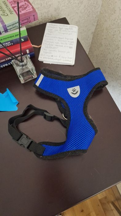 Шлейка для кота чи собаки XL м'яка з повідком  синя