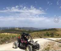 Buggy kinroad 650