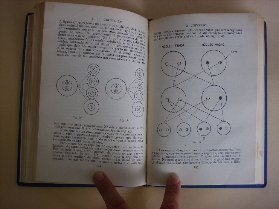 O Universo de J. G. Crowther