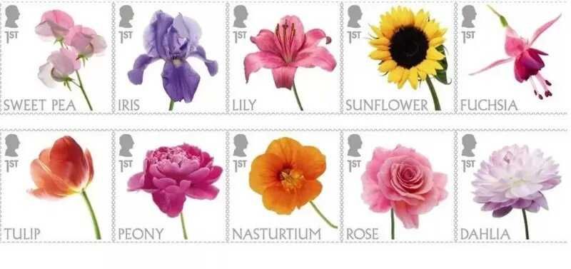 Британские марки  British Stamps: Подарочный набор -  хороший Подарок