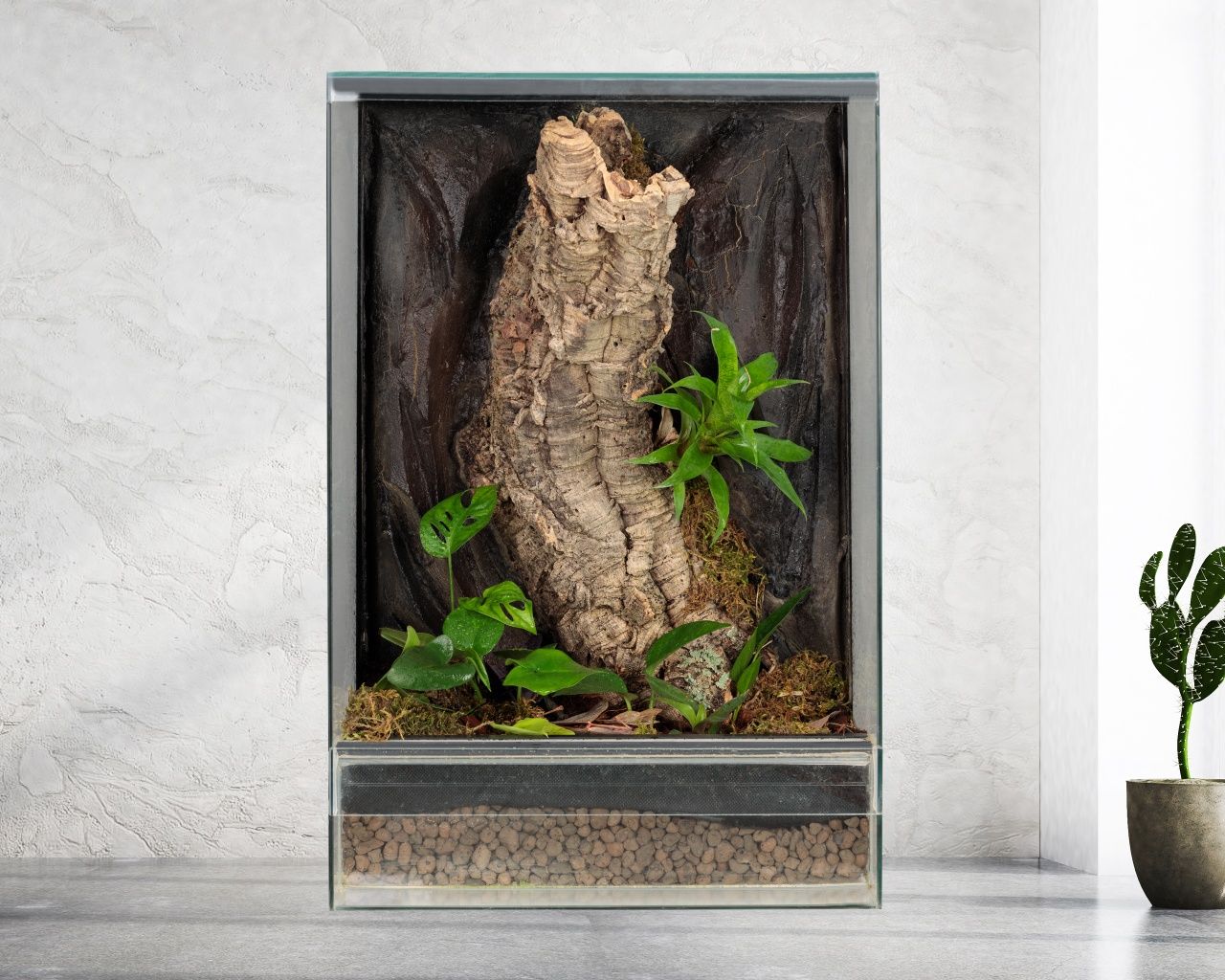 Terrarium tropikalne 40x40x60 gekon orzęsiony