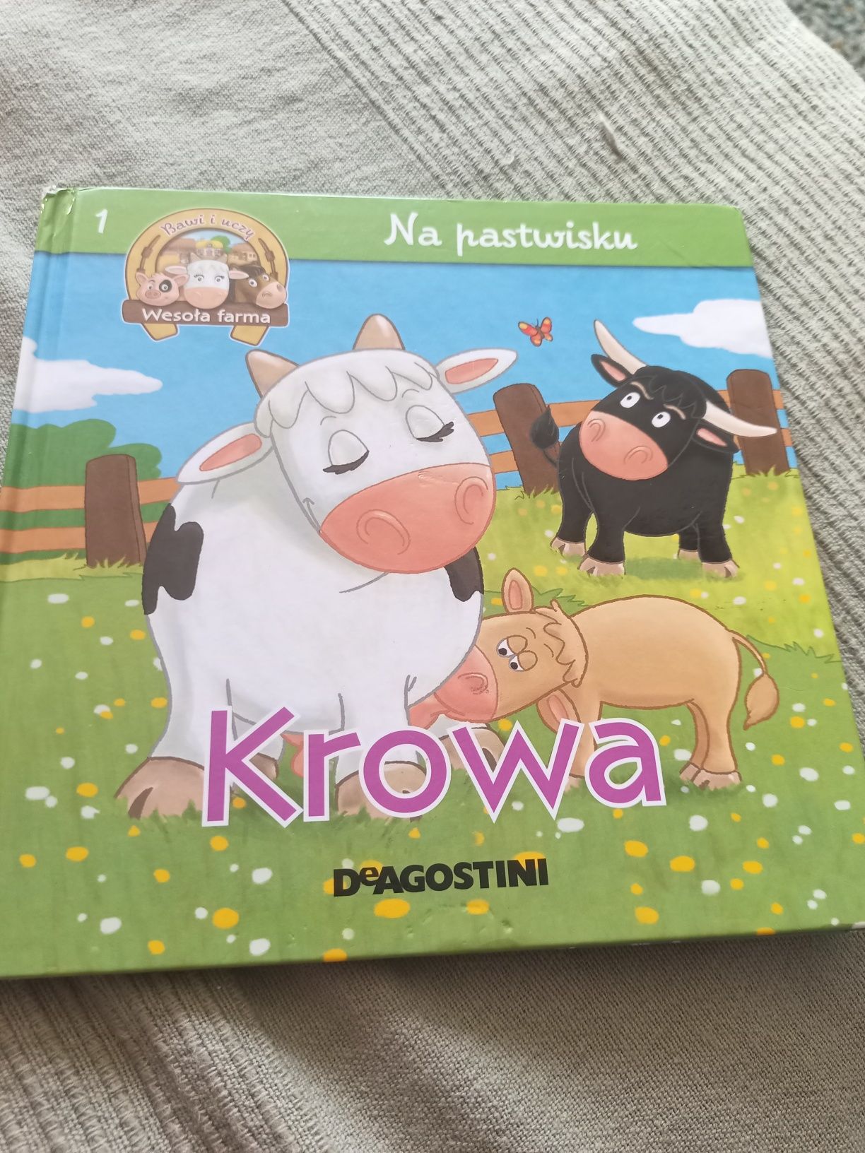 Książka dla dzieci Krowa