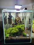 Akwarium kostka Aquael Shrimp 29x29x35
