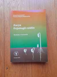 Zarys fizjologii roślin