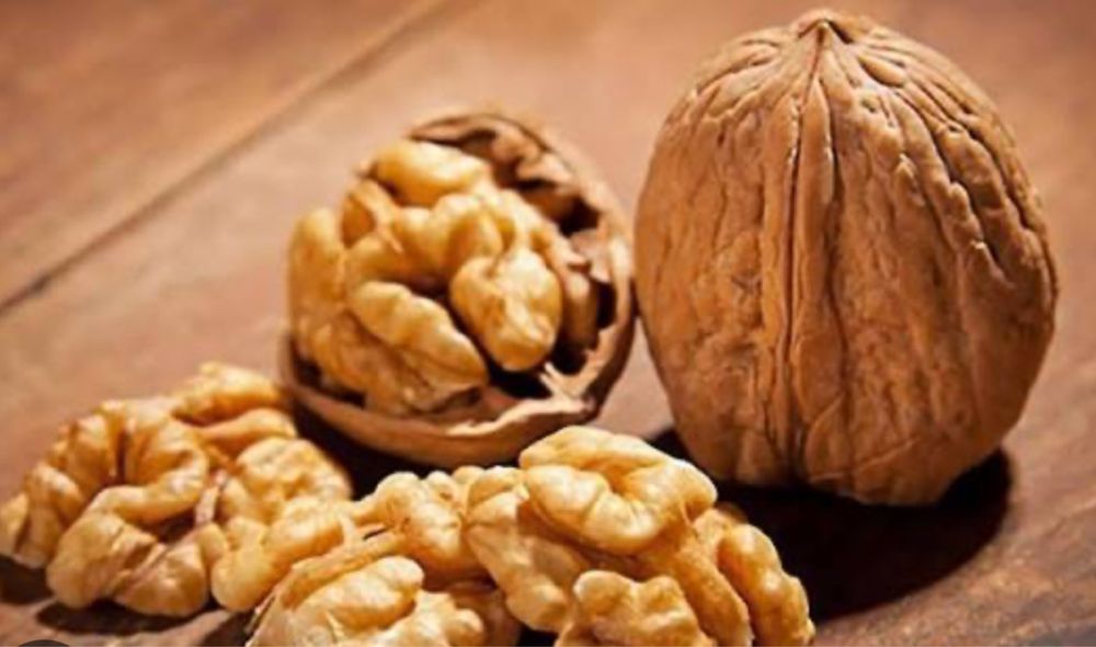 Закуповуэмо ядро волоського горіху