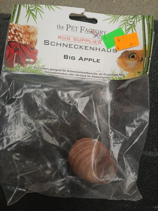 Ozdoba do akwarium  muszelka