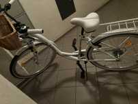 Rower damski 28 Indiana