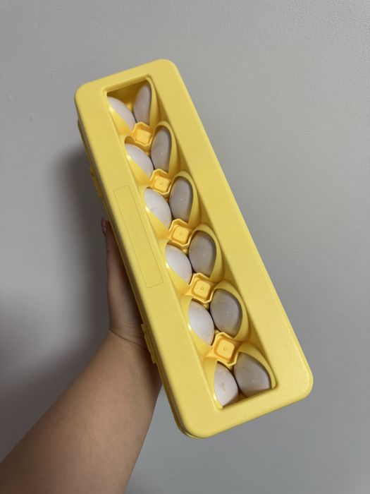 Розвиваюча іграшка яйця-сортер фрукти-овочі