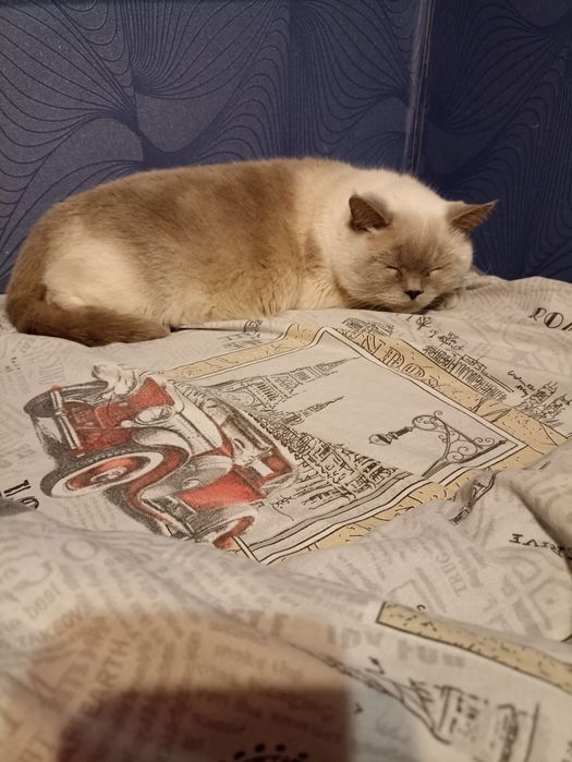 Зооотель, зоогостиница,зооняня,передержка