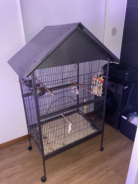 Gaiola de aço para papagaios