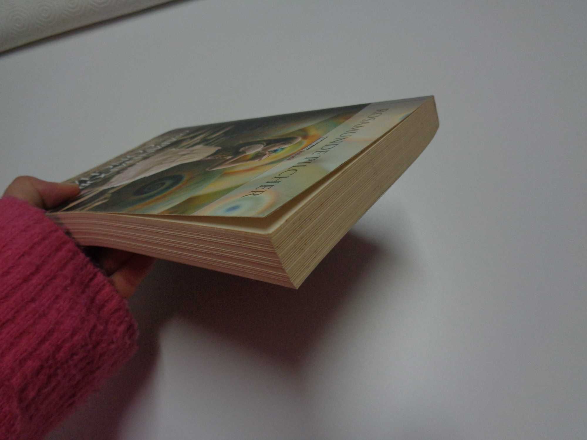 Livro Os Apanhadores de Conchas - Rosamunde Pilcher