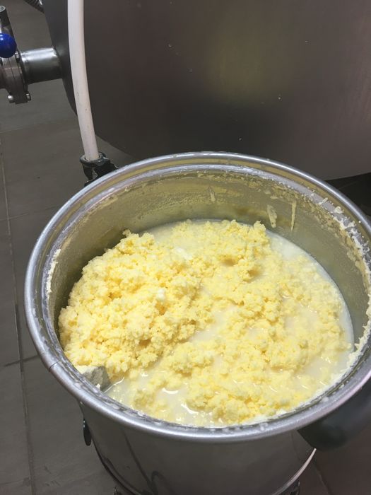 Справжнє солодковершкове масло від своїх  корів Джерсеїв