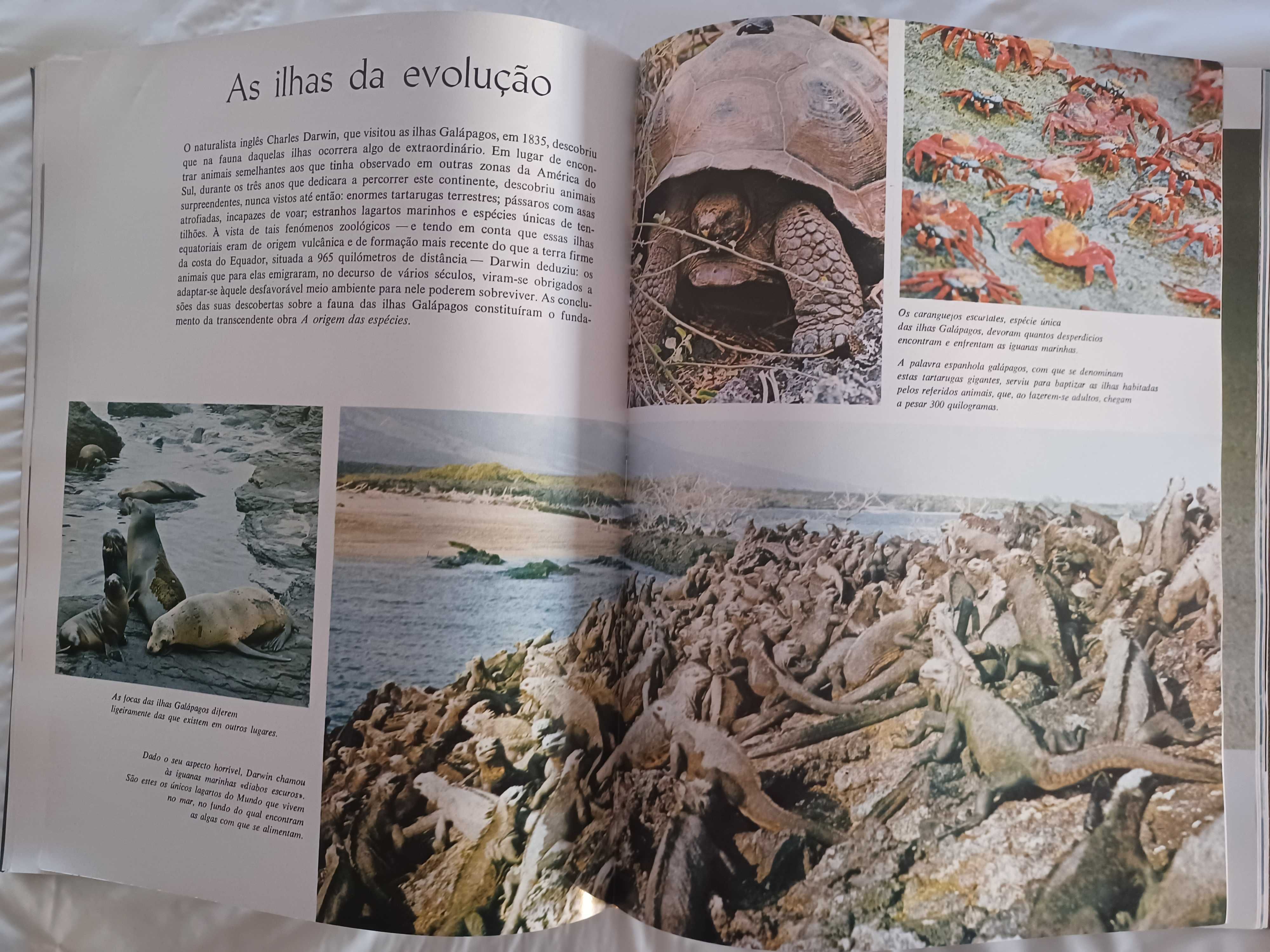 O Assombroso Mundo da Natureza - Selecções do Reader's Digest