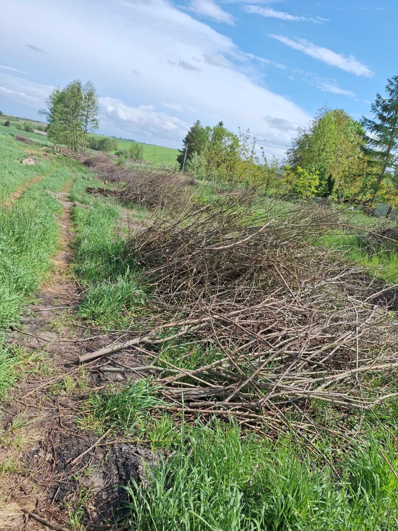 Gałęzie pod rębak