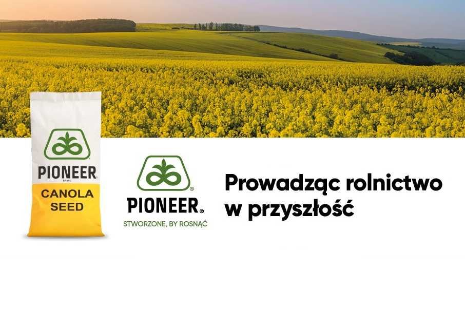 Dystrybutor PIONEER - Rzepak nasiona rzepaku