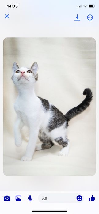 Dlaczego tak dlugo nikt nas nie chce?