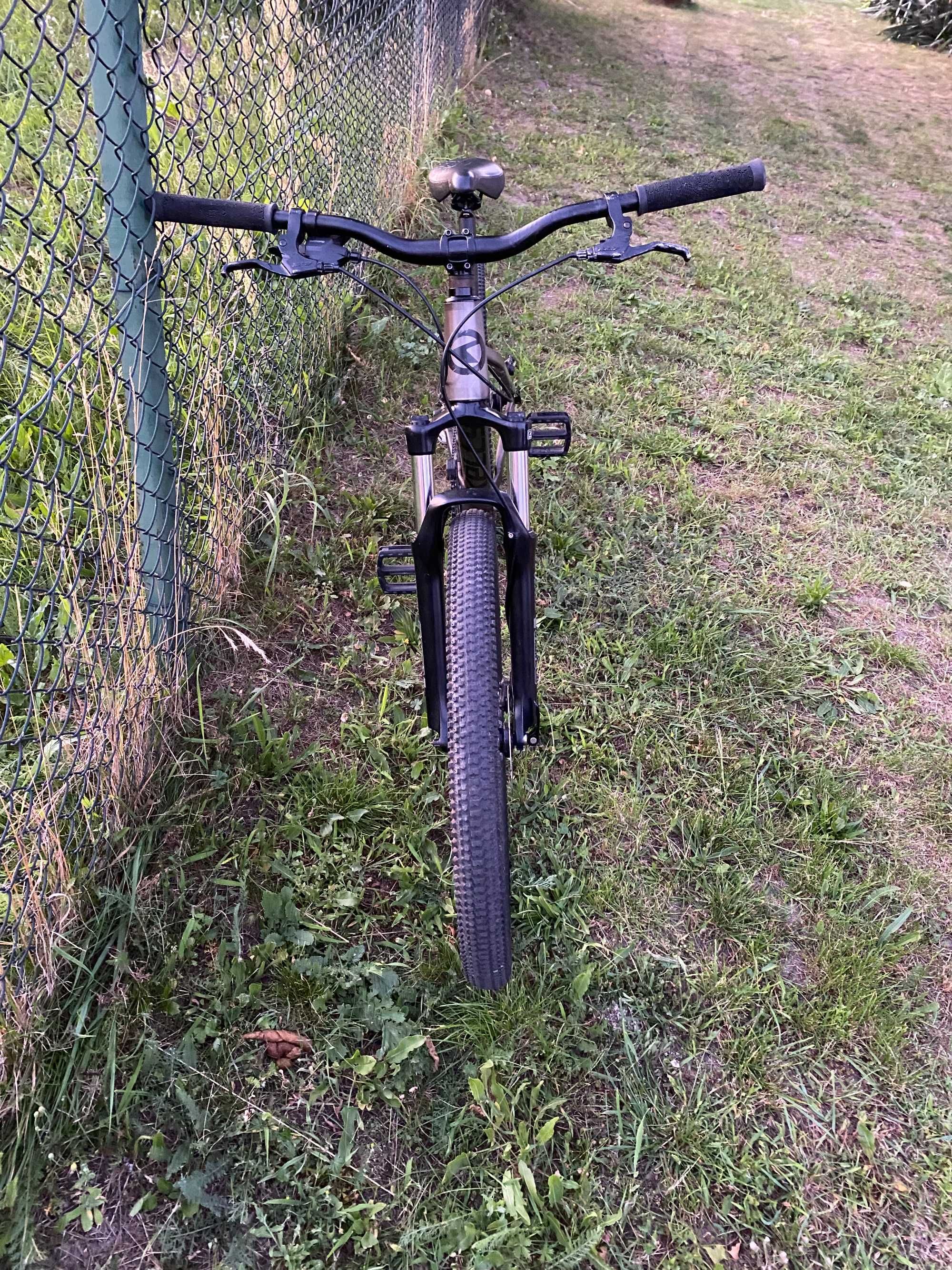 Rower dirt kellys whip 10 2021
