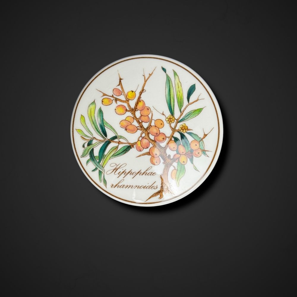 Puzderko botanica Villeroy & Boch Luxembourg rokitnik B51/042621