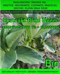 Naturalny Olej Neem 250ml Azadirachtyna 10,000ppm!