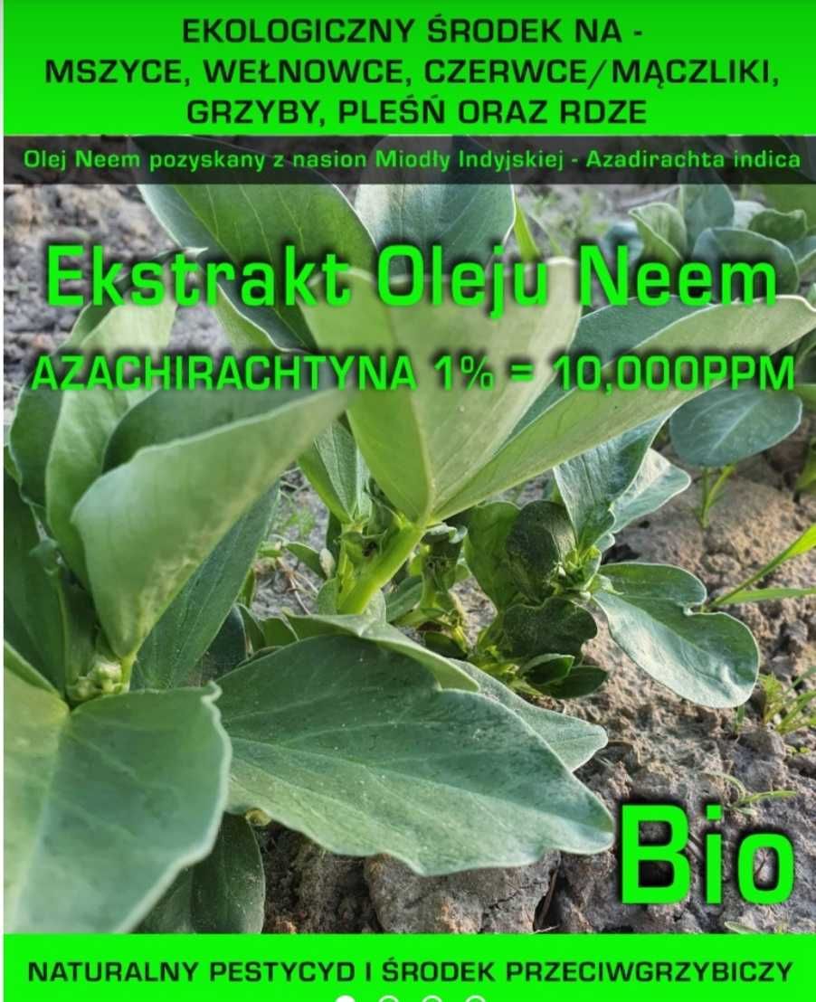 Naturalny Olej Neem 250ml Azadirachtyna 10,000ppm!