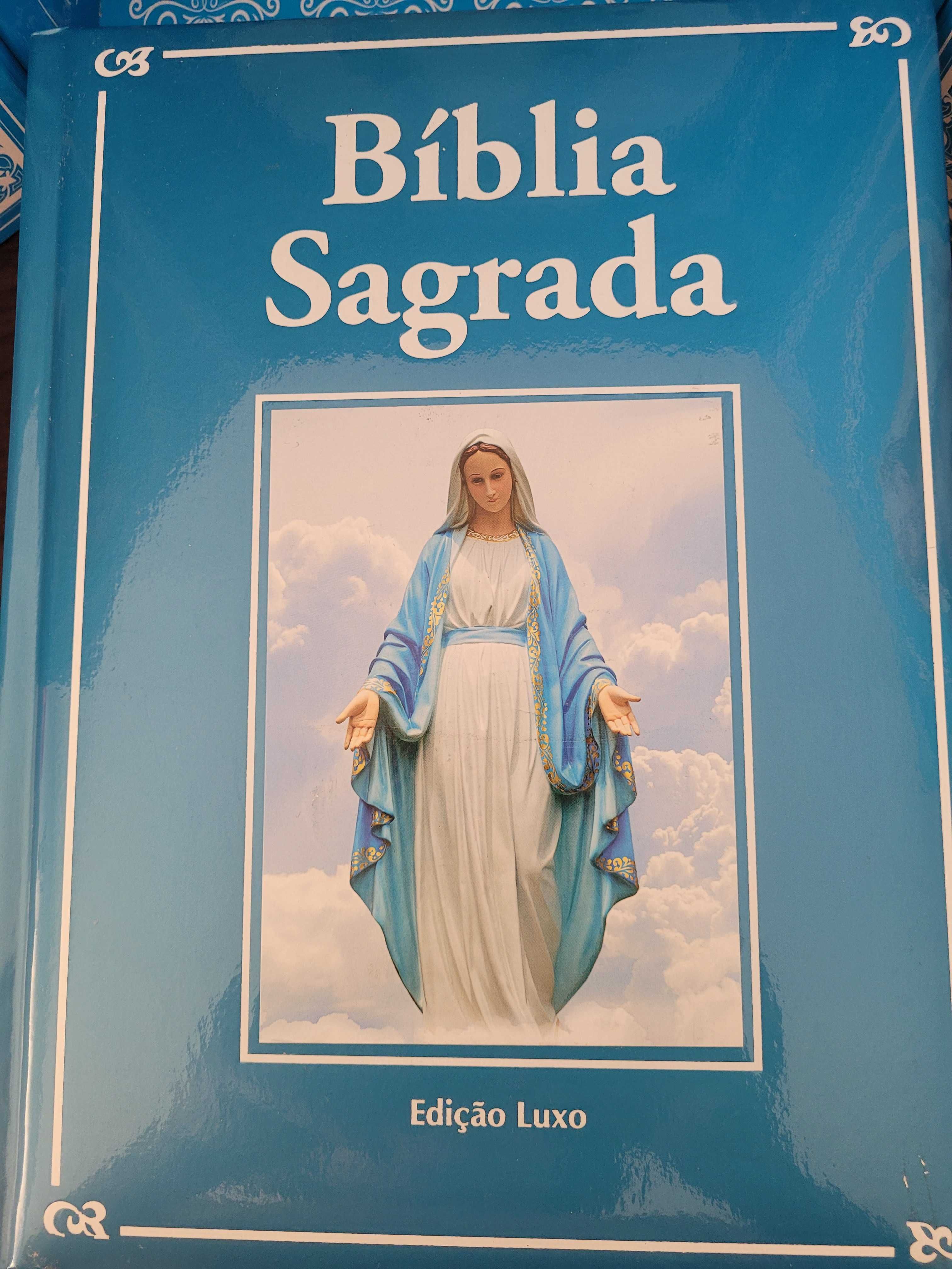 Biblia Sagrada (NOVA)