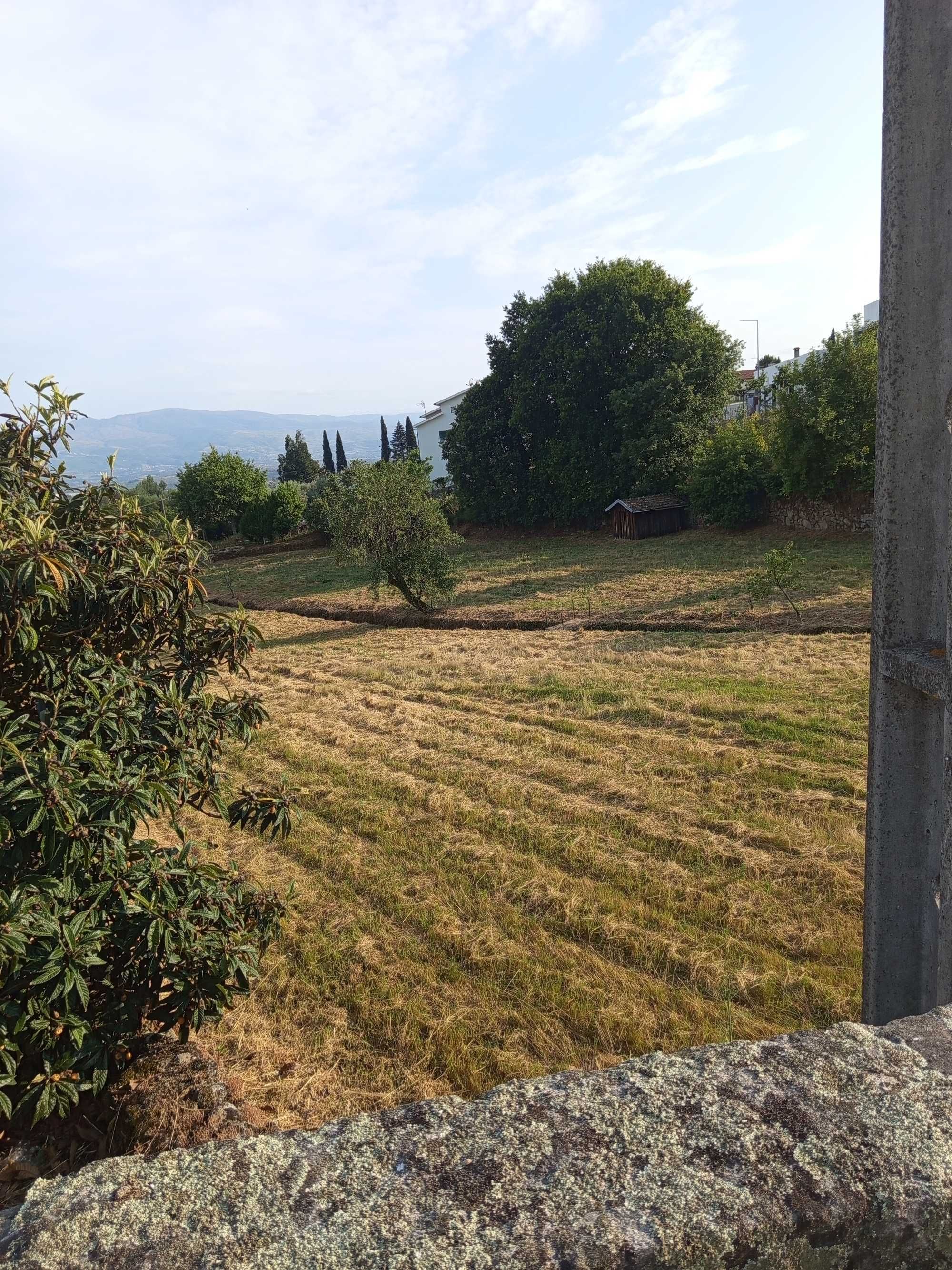 Vendo terreno em Fornos de Algodres