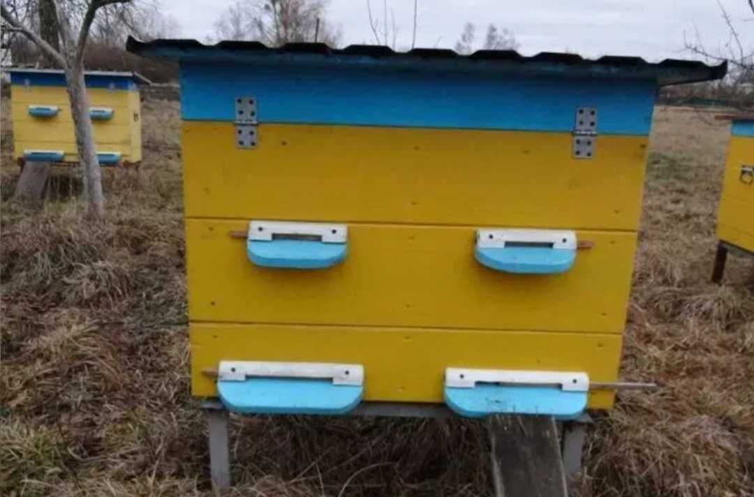 Бджолосім'ї з вуликами