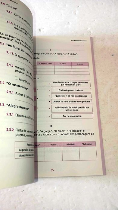 As fadas Verdes - Porto editora