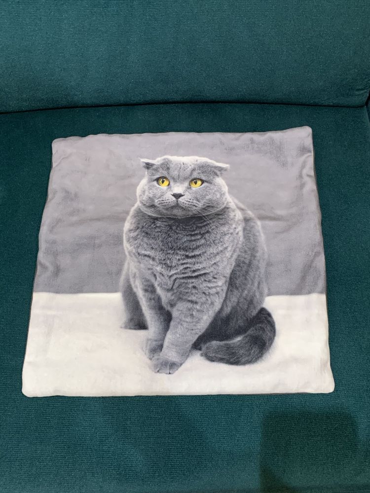 Ozdobna poszewka na poduszkę kot brytyjski szkocki 41 cm x 41 cm
