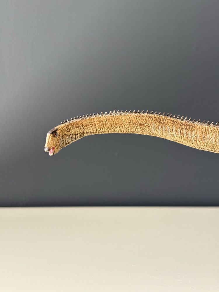 Diplodocus (diplodok) - Eofauna