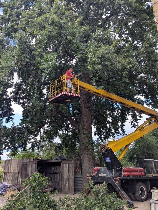 Автовишка,послуги ,аренда.