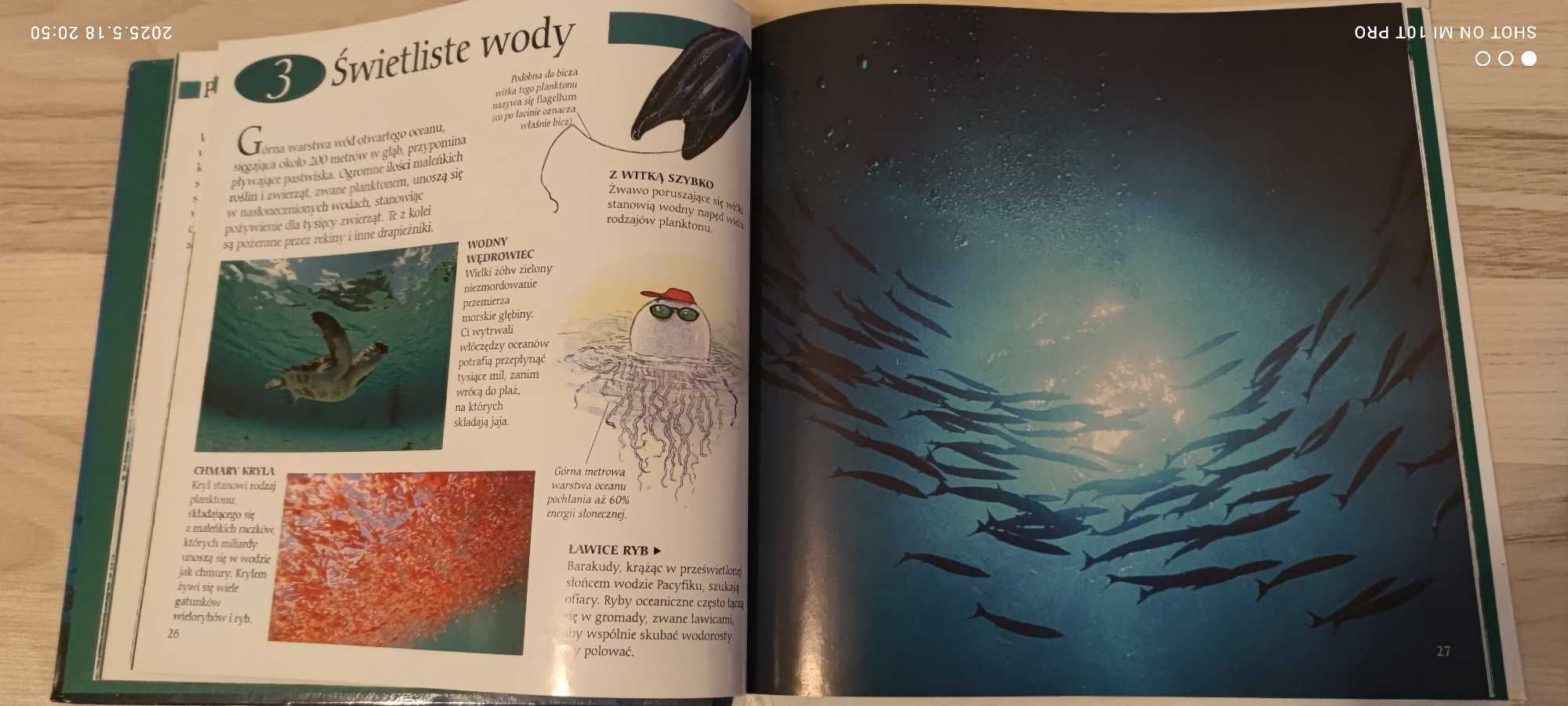 Książka National Geographic - "Oceany"