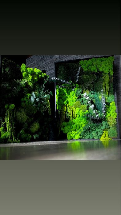 Mech Chrobotek w ramie 50 x 70cm lub 60 x 90cm różne rozmiary