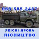 ТВЕРДІ дрова Хороша ціна ЧЕСНИЙ об'єм від 1500 на місці