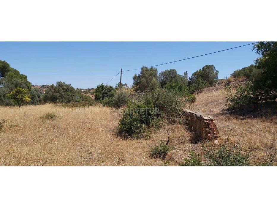 Terreno rústico, em zona agrícola, Albufeira, Algarve