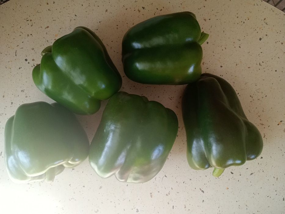 Zielona papryka 10 kg