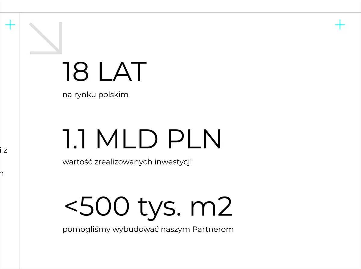 Strona internetowa / Sklep internetowy - WordPress / SEO / WooCommerce