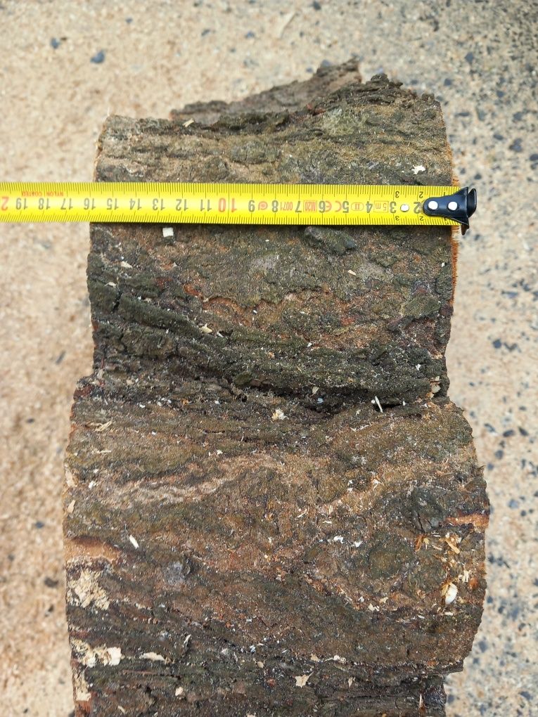 Plastry drewna czereśnia plaster blat