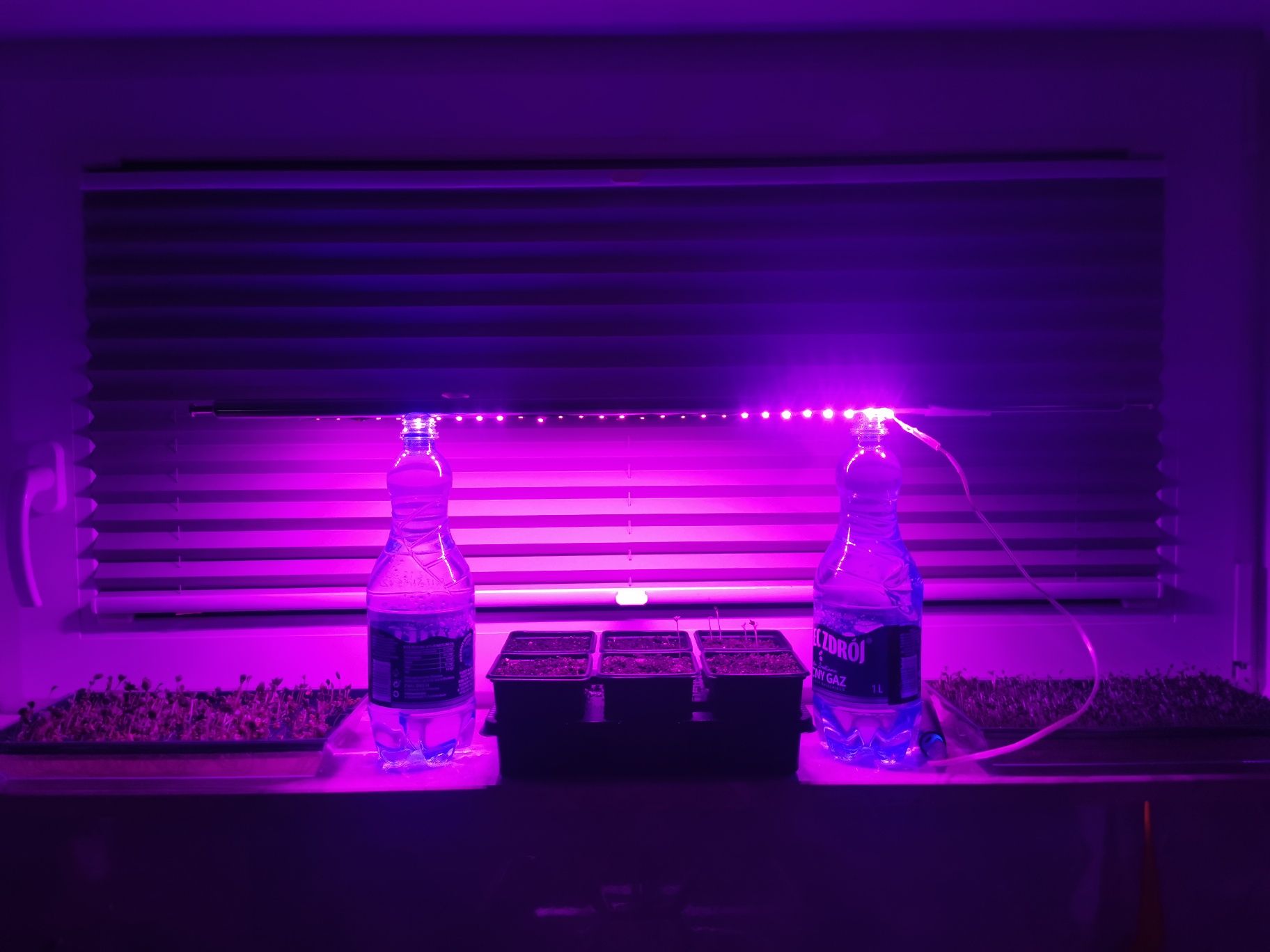 Taśma Led Grow Heckermann do uprawy roślin - 2 sztuki x 50 cm