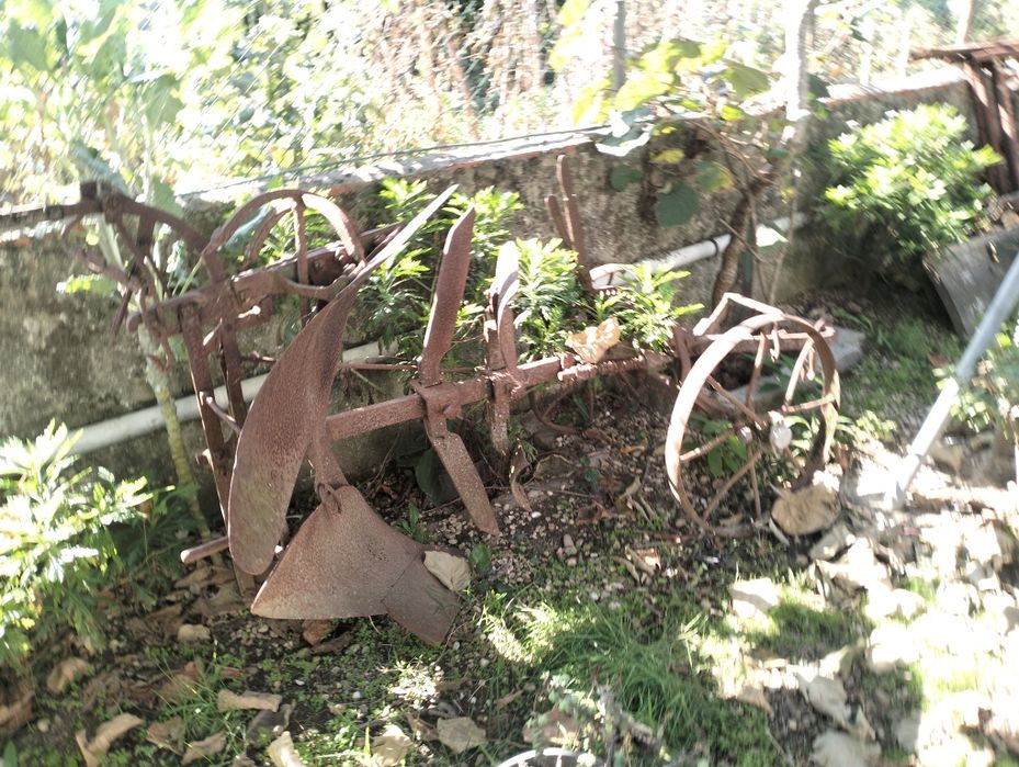 Charrua em ferro