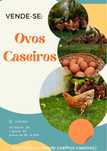 Ovos Caseiros baratos
