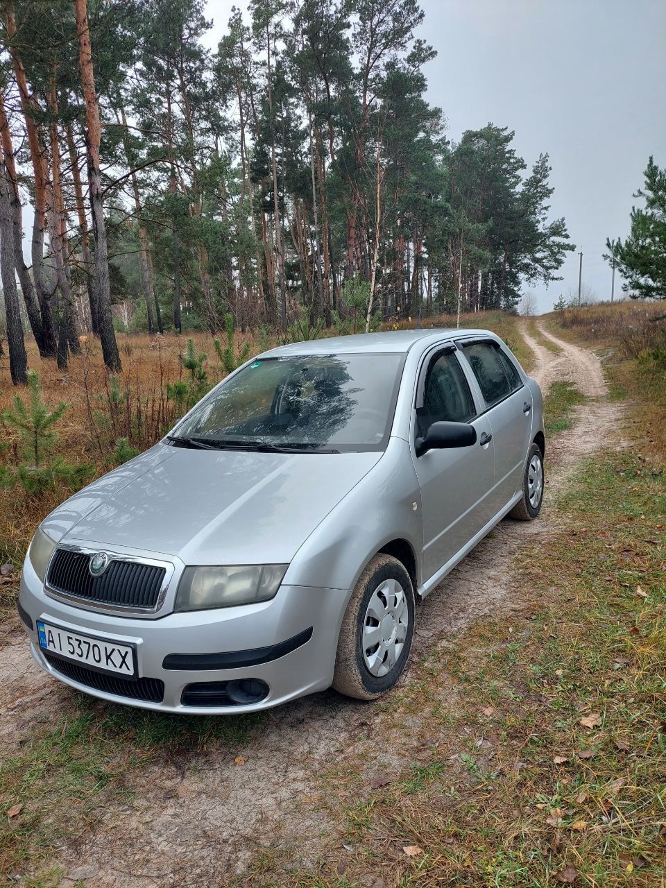 Продам Skoda Fabia